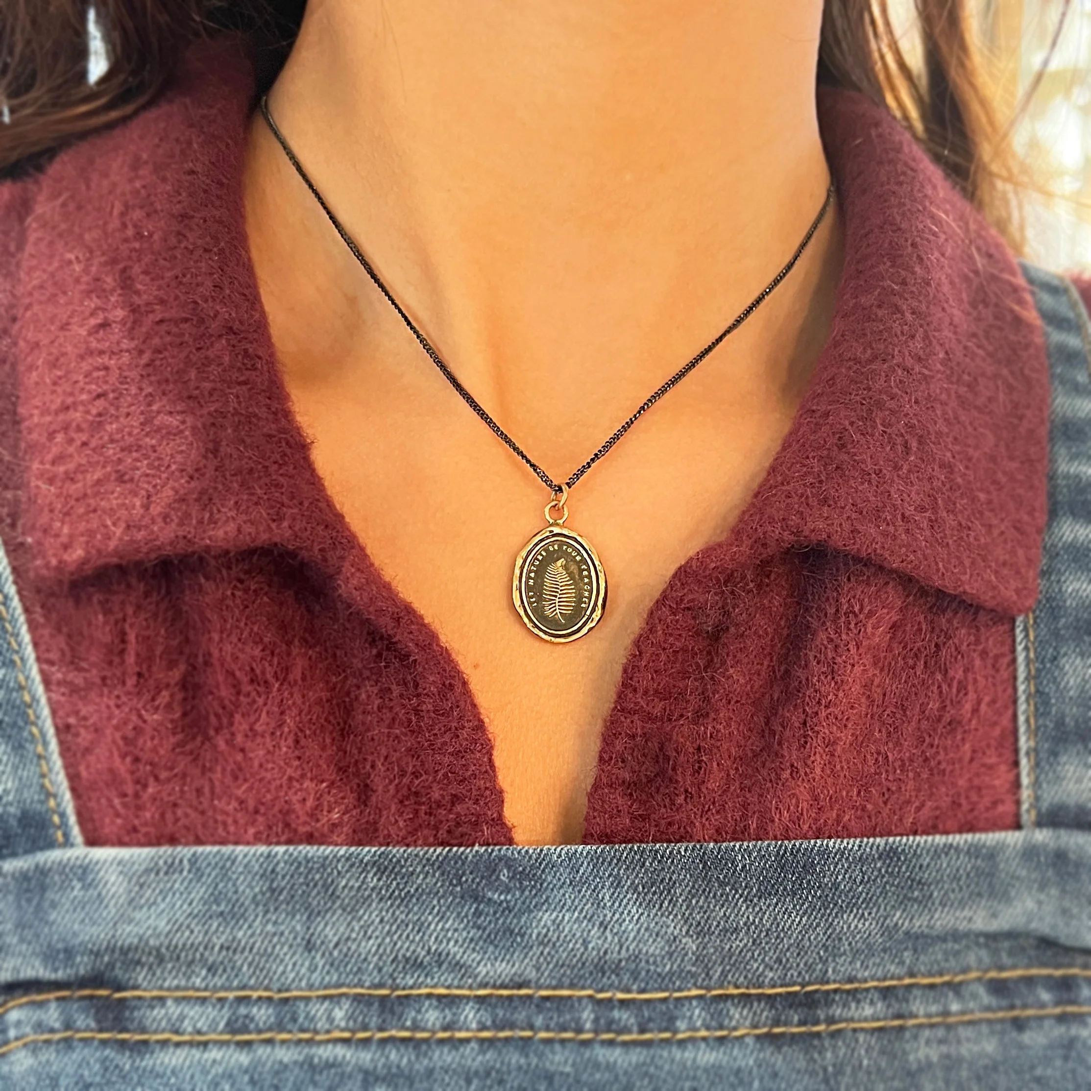 Bronze & Sterling Silver Fern Talisman Necklace - "Let Nature Be Your Teacher" - Image 3