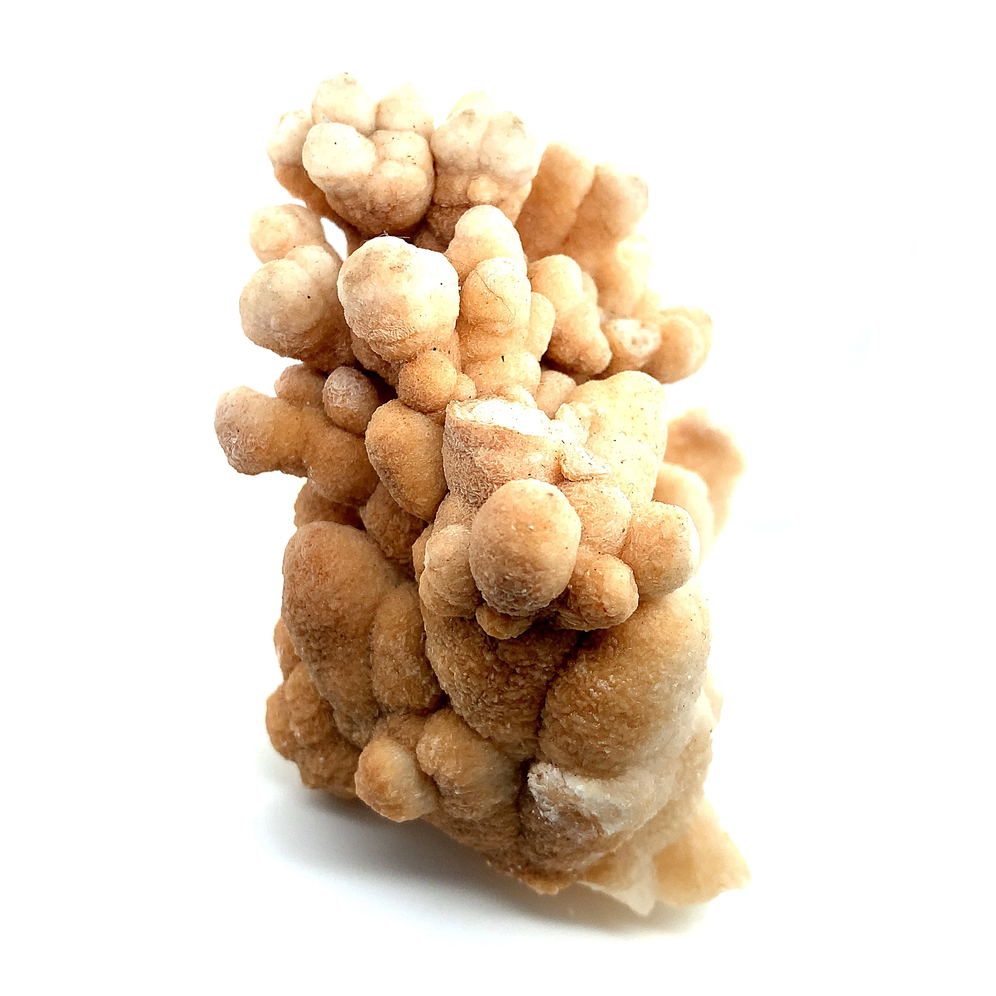 Cave Calcite - "Heartbeat" - Image 2
