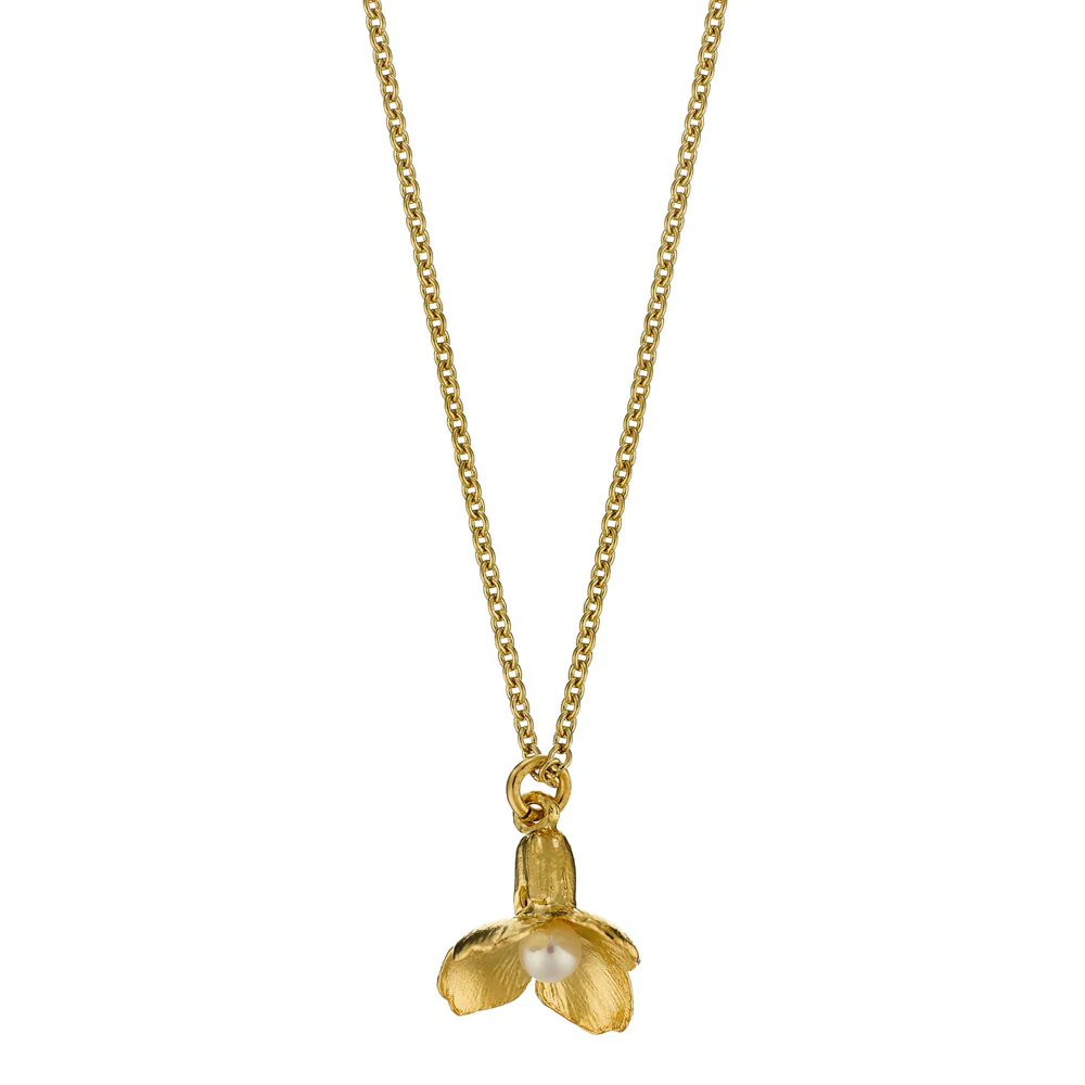 Gold Vermeil & Pearl Necklace - "Cuckoo Flower"